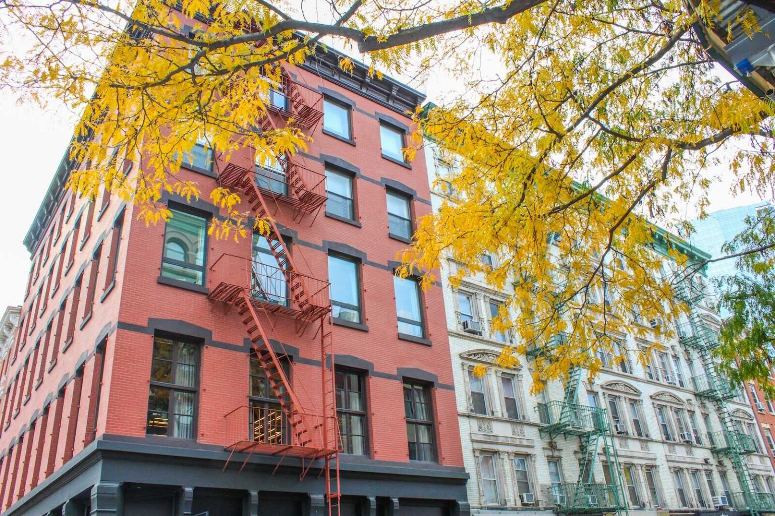 The Best Neighborhoods in New York City to See Colorful Fall Foliage ...